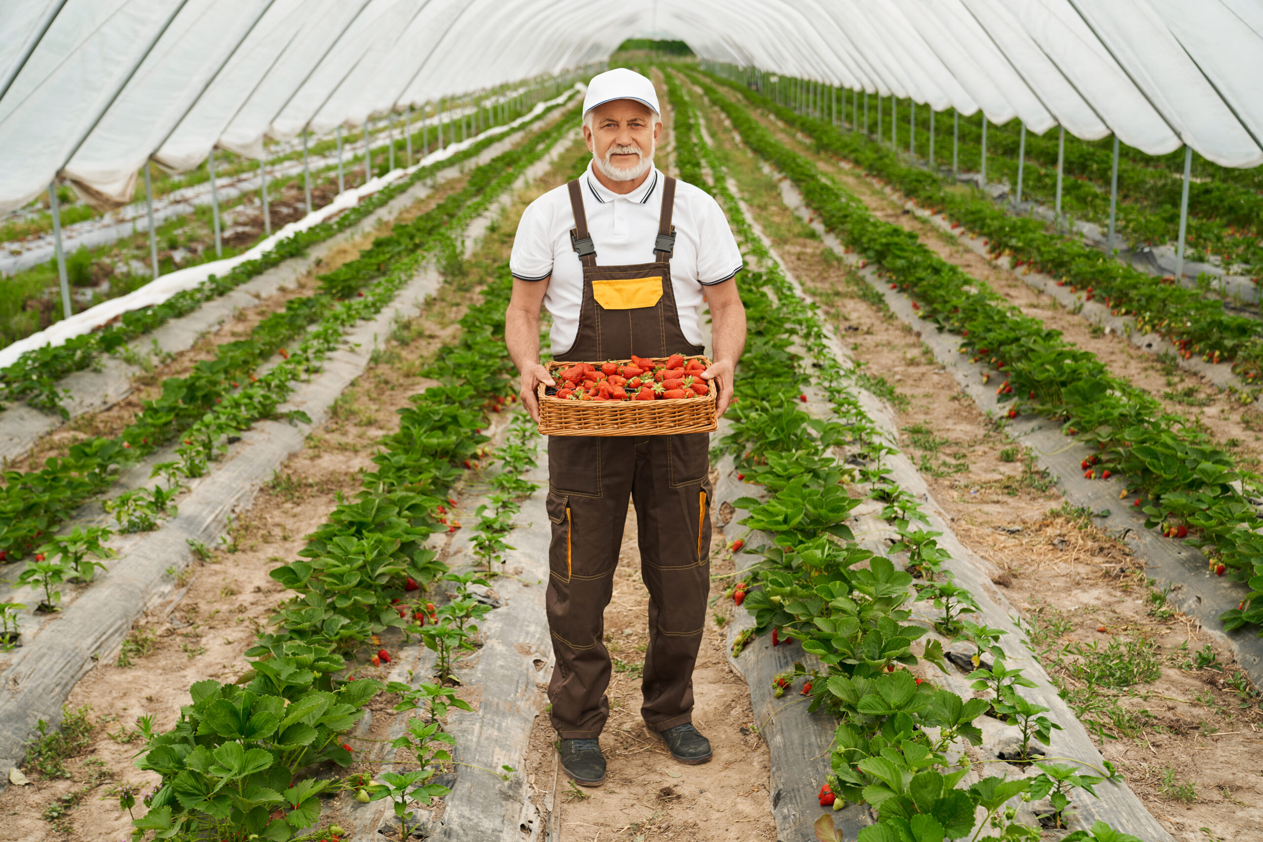 Agriculture worker in an in-demand occupation for Saskatchewan SINP