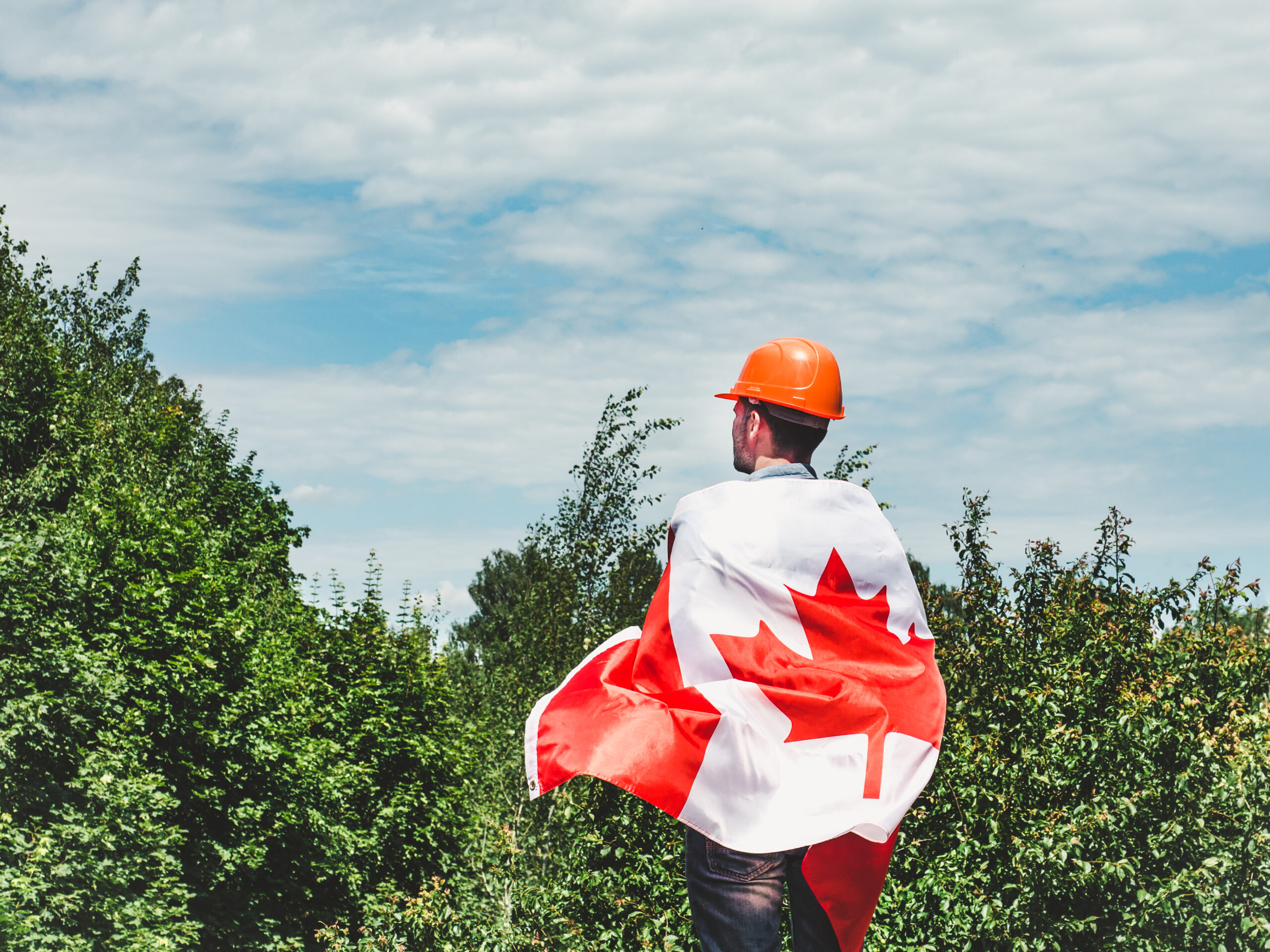 Skilled worker in an in-demand occupation nominated through Canada's PNP
