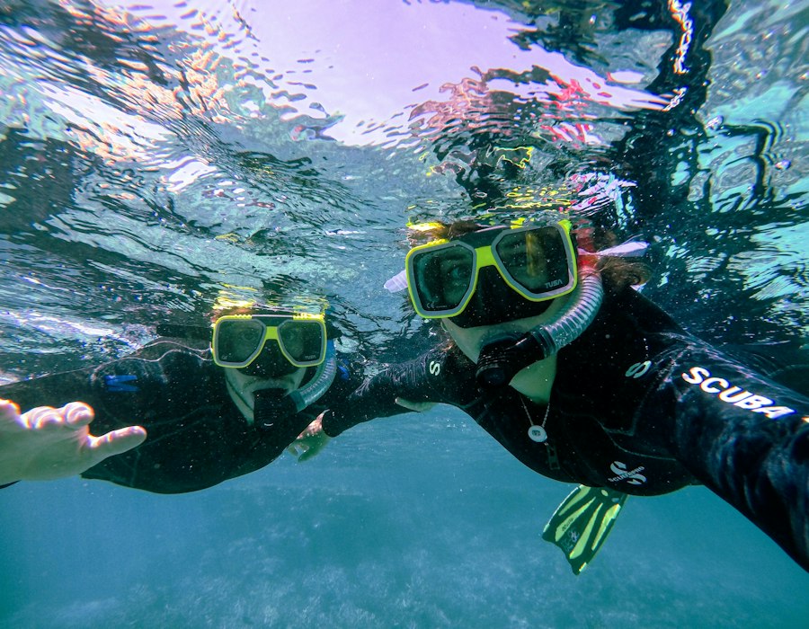 Two friends snorkelling on the Great Barrier Reef
