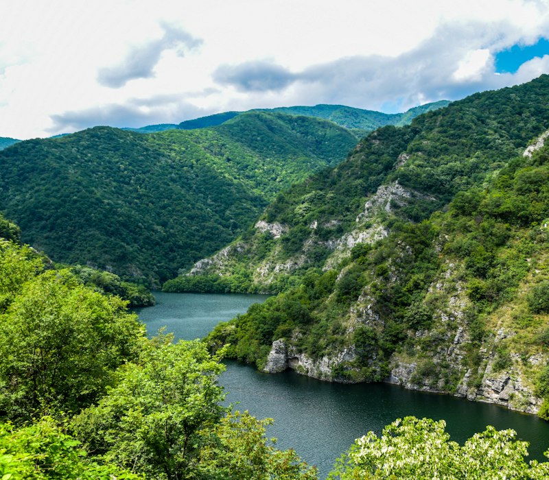 A green river valley in the Rhodope Mountains