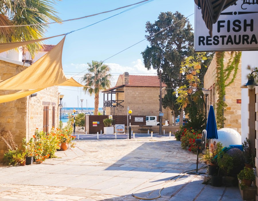 A bright café lane with palms in Limassol