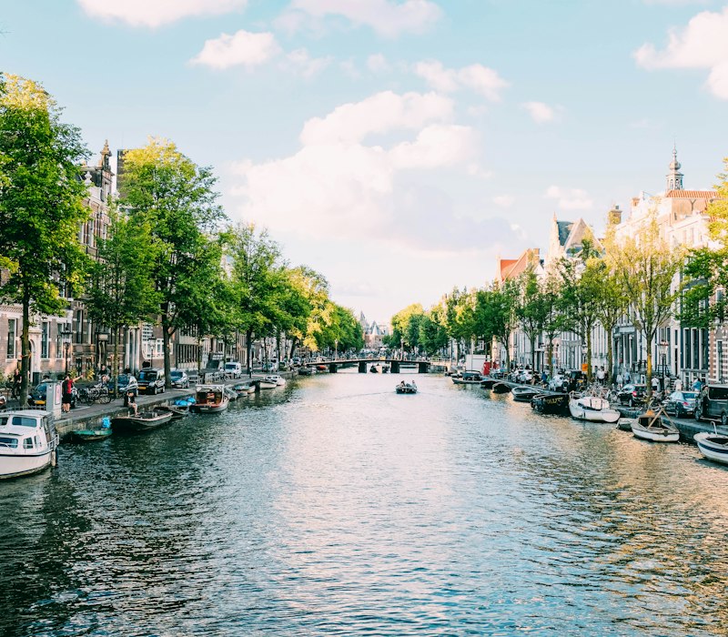 An Amsterdam canal lined with trees and bicycles
