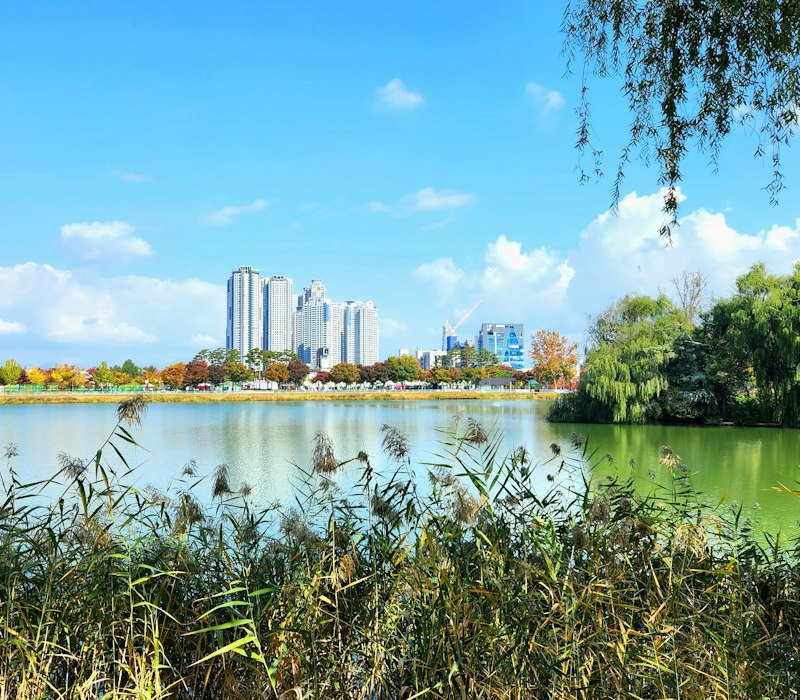 A lake and park in Daegu on a sunny day
