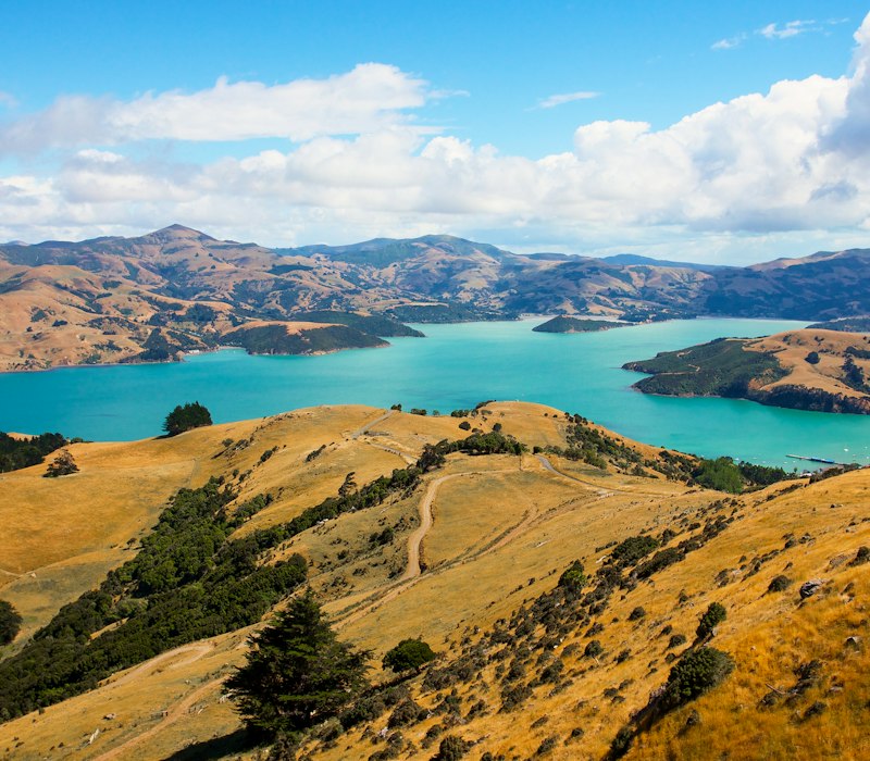 A turquoise bay and golden hills on the South Island