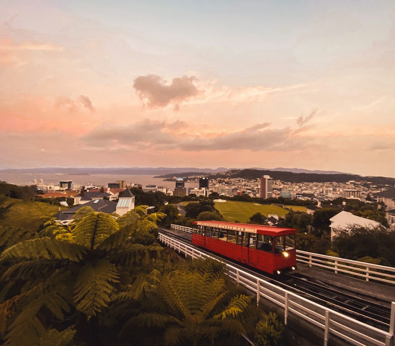Wellington harbour at sunset