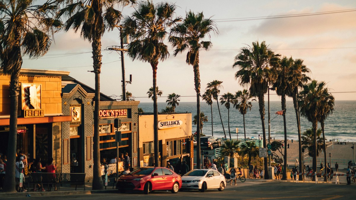 Palm trees and sunset in Los Angeles