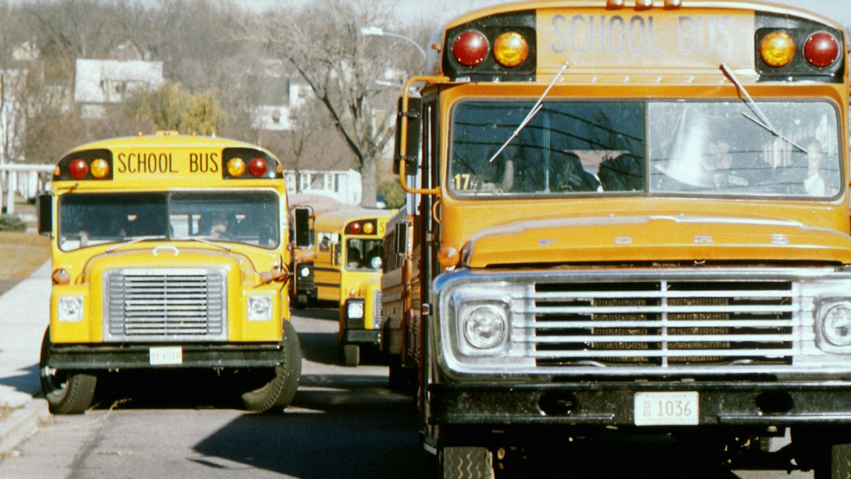 Yellow school buses in the USA