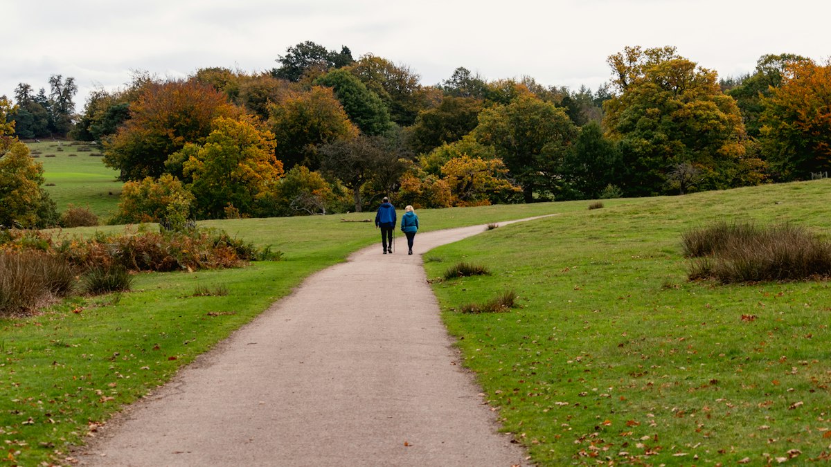 A couple walking through an autumn park