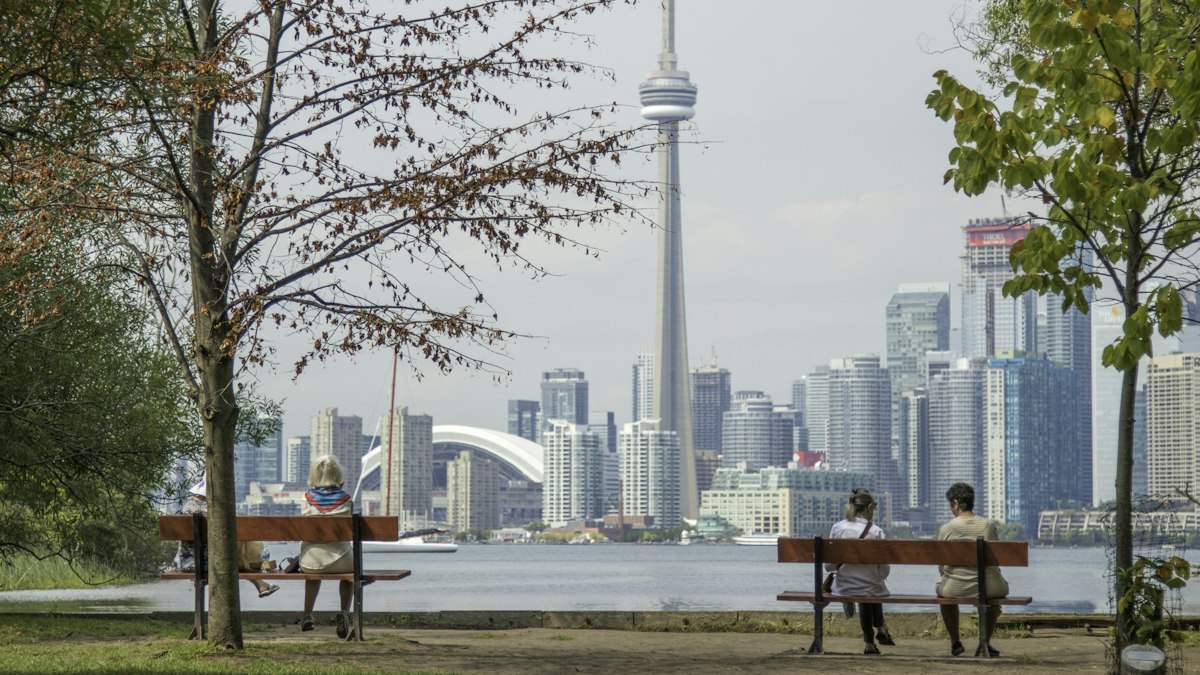 A Toronto campus with autumn trees