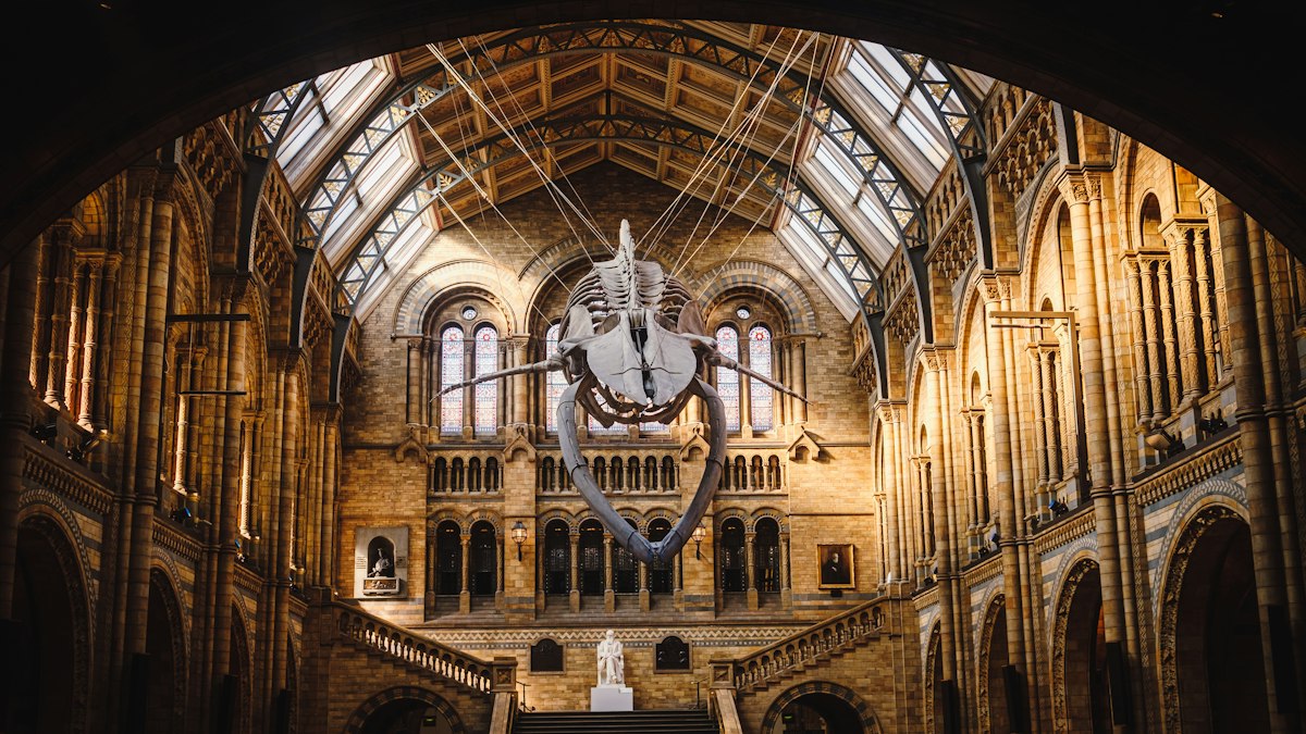 The great hall of the Natural History Museum
