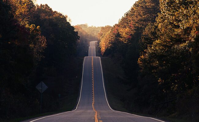 A road through an autumn forest