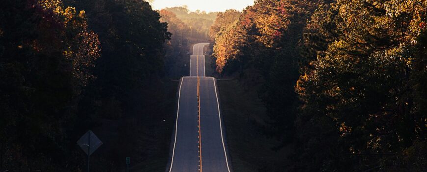 A road through an autumn forest