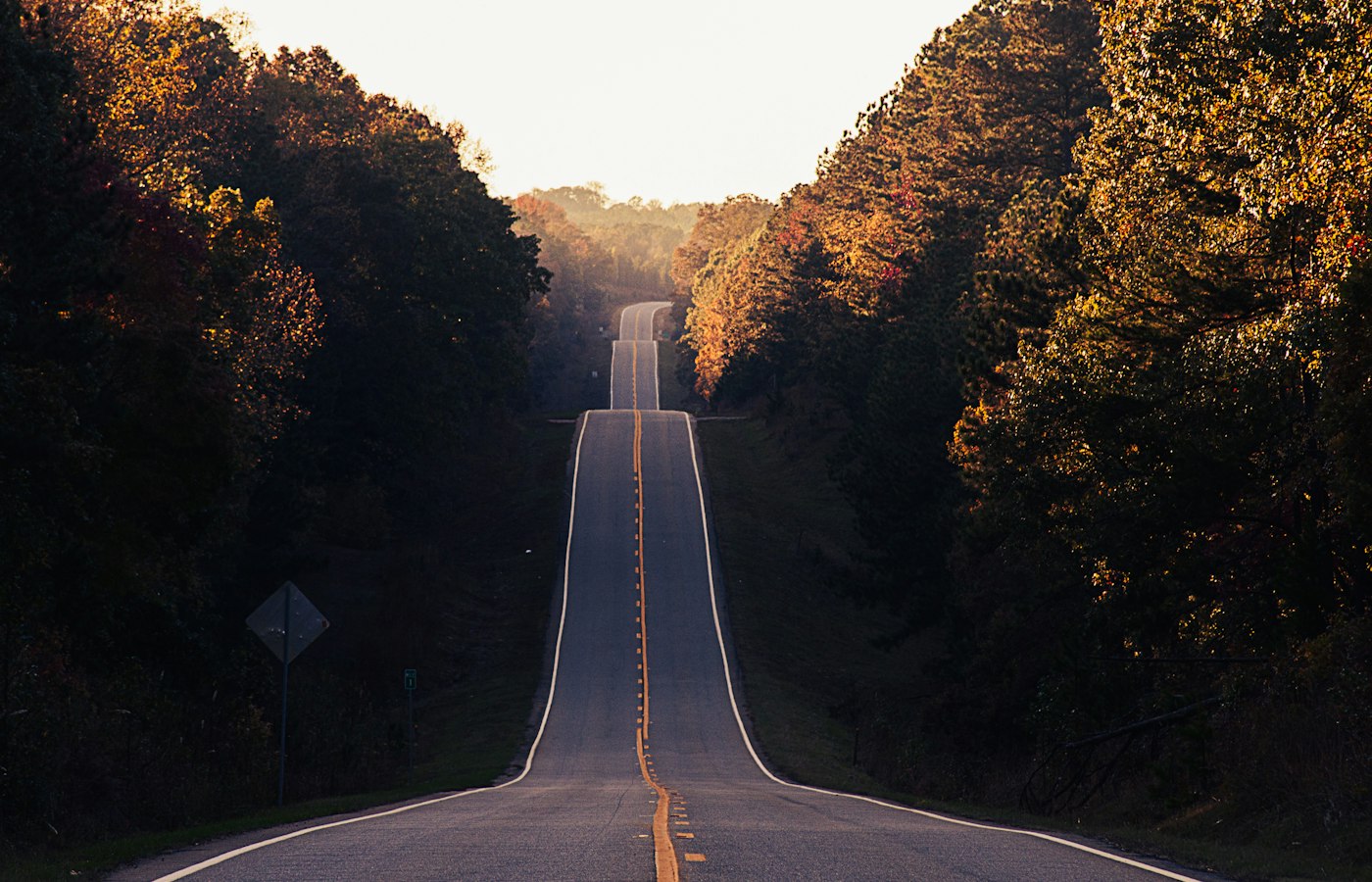 A road through an autumn forest