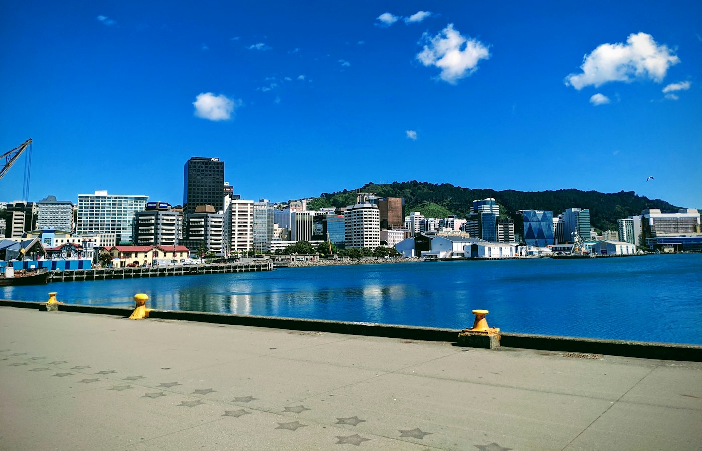 Wellington harbour in New Zealand