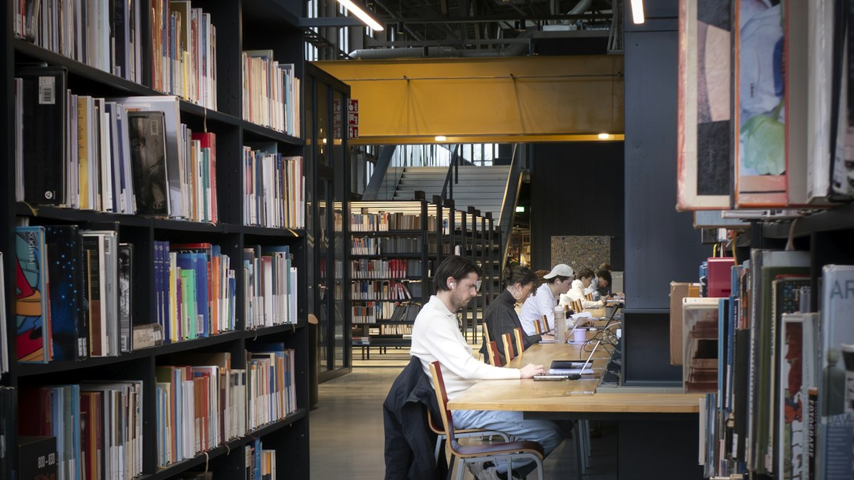 A student studying in a university library
