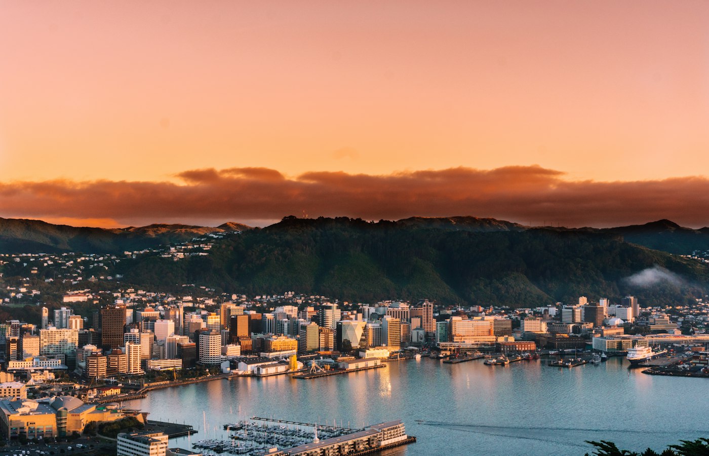 Wellington harbour and city at sunset, New Zealand