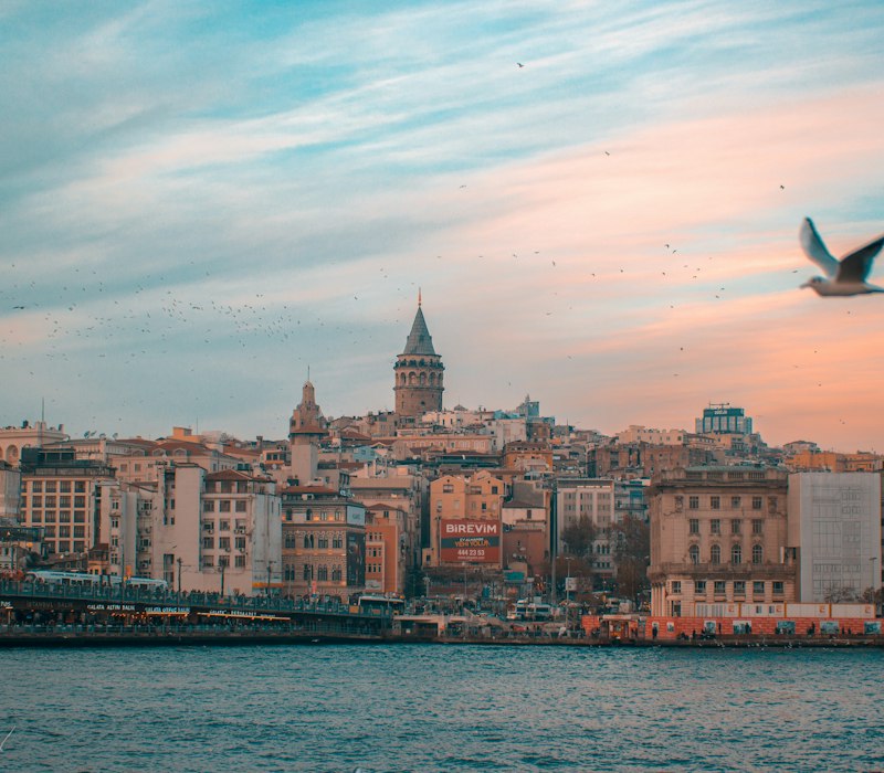 Galata Tower and the Istanbul skyline at sunset with a seagull