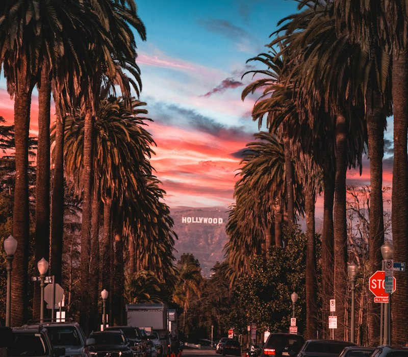 Palm trees at sunset in Los Angeles